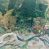 VENDO CAMPO AGRICOLA – FORESTAL – TURISMO