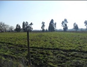 Parcela en Pelarco, sector San Guillermo