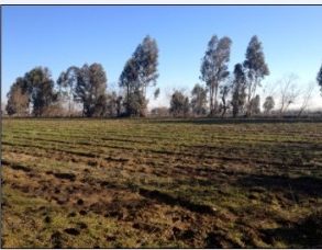 Parcela en Pelarco, sector San Guillermo