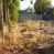 Terreno en Talca, ubicado en calle 5 Oriente 9 y 10 Norte