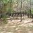 Campo en Pelarco, Sector Libueno