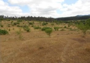 Campo en Pelarco, Sector Libueno