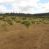 Campo en Pelarco, Sector Libueno