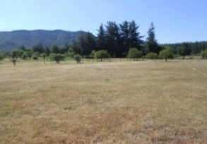 Campo en Pelarco, Sector Libueno