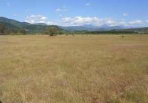 Campo en Pelarco, Sector Libueno