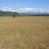 Campo en Pelarco, Sector Libueno