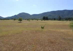 Campo en Pelarco, Sector Libueno