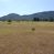Campo en Pelarco, Sector Libueno