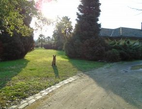 VENTA VIVIENDA,PARCELA AGRADO,TALCA