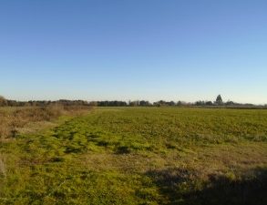 VENTA PARCELA TALCA