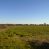 VENTA PARCELA TALCA