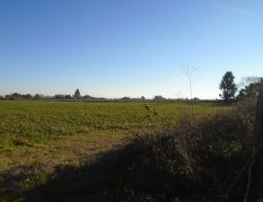VENTA PARCELA TALCA