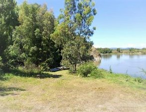 VENDO CAMPO AGRICOLA – FORESTAL – TURISMO