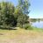 VENDO CAMPO AGRICOLA – FORESTAL – TURISMO