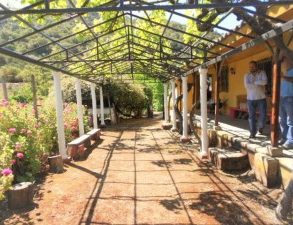 VENDO CAMPO AGRICOLA – FORESTAL – TURISMO