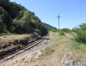 VENDO CAMPO AGRICOLA – FORESTAL – TURISMO