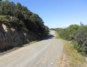 VENDO CAMPO AGRICOLA – FORESTAL – TURISMO