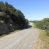 VENDO CAMPO AGRICOLA – FORESTAL – TURISMO