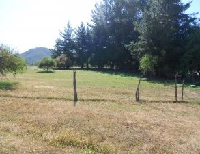 Campo en Pelarco, Sector Libueno