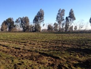 Parcela en Pelarco, sector San Guillermo